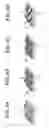 Fig. 04 - Manufacturing method of three-dimensional circuit board