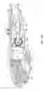 Fig. 41 - Powered Utility Knife