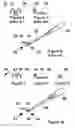 Fig. 03 - Method of using a device to lift, move and flip foods
