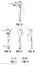 Fig. 03 - Floral attachment device
