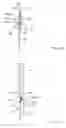 Fig. 06 - Window assembly for school bus