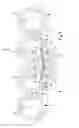 Fig. 02 - Crop conveying arrangement of a machine for harvesting crops having stalks