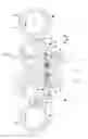 Fig. 03 - Crop conveying arrangement of a machine for harvesting crops having stalks