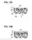 Fig. 08 - Exhaust emission control device for internal combustion engine