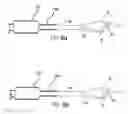 Fig. 08 - Endodontic instruments