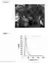 Fig. 04 - Fine nickel powder and process for producing the same