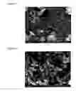 Fig. 05 - Fine nickel powder and process for producing the same