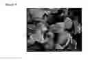 Fig. 06 - Fine nickel powder and process for producing the same