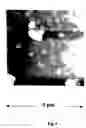 Fig. 10 - Process and apparatus for producing metal nanoparticles