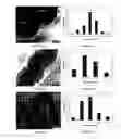 Fig. 04 - Method for producing compositions of nanoparticles on solid surfaces