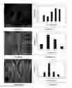 Fig. 06 - Method for producing compositions of nanoparticles on solid surfaces