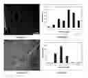 Fig. 09 - Method for producing compositions of nanoparticles on solid surfaces