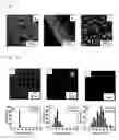 Fig. 02 - Metal nanoparticle with support, continuous metal nanoparticle body, and methods for producing these