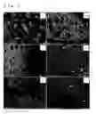 Fig. 05 - Metal nanoparticle with support, continuous metal nanoparticle body, and methods for producing these
