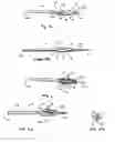 Fig. 03 - Endodontic Instrument