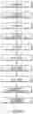 Fig. 05 - Method of applying a graphic design to a guitar