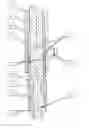 Fig. 01 - Device to guarantee the sequence of movement of at least two fluid-actuated displacement units
