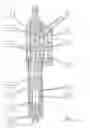 Fig. 08 - Device to guarantee the sequence of movement of at least two fluid-actuated displacement units