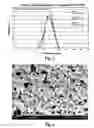 Fig. 04 - Pigment and filler and a method of manufacturing it
