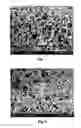 Fig. 05 - Pigment and filler and a method of manufacturing it