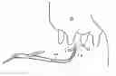 Fig. 01 - Preventing mastitis and providing pathogen control of dairy cattle