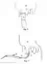 Fig. 03 - Preventing mastitis and providing pathogen control of dairy cattle