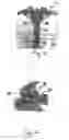 Fig. 08 - Multi-position draw weight crossbow