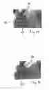 Fig. 09 - Multi-position draw weight crossbow