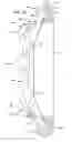 Fig. 08 - Compound bows