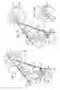 Fig. 09 - Compound bows
