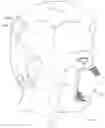 Fig. 01 - Body conforming textile holder and filter article