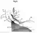 Fig. 07 - Hair-cutting method