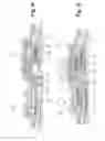 Fig. 11 - Coaxial quick disconnect coupling