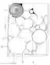 Fig. 02 - Cross-cut log tile