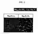 Fig. 02 - High strength and high toughness magnesium alloy and method of producing the same