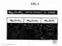 Fig. 03 - High strength and high toughness magnesium alloy and method of producing the same