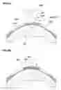 Fig. 06 - Tire for motorcycle and method for manufacturing the same