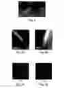 Fig. 05 - Controlled nanotube fabrication and uses