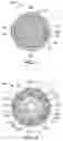 Fig. 04 - Downhole percussion tool