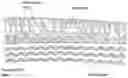 Fig. 01 - Method of producing a porous membrane and waterproof, highly breathable fabric including the membrane