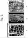 Fig. 06 - Method of producing a porous membrane and waterproof, highly breathable fabric including the membrane