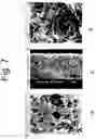 Fig. 08 - Method of producing a porous membrane and waterproof, highly breathable fabric including the membrane