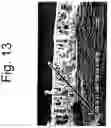 Fig. 15 - Method of producing a porous membrane and waterproof, highly breathable fabric including the membrane