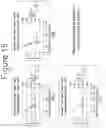 Fig. 17 - Method of producing a porous membrane and waterproof, highly breathable fabric including the membrane