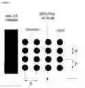 Fig. 63 - Chip