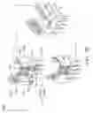 Fig. 07 - Connector and electronic element thereof
