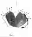 Fig. 02 - Side bag for motorcycles
