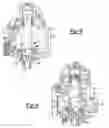 Fig. 07 - Power take off for cordless nailer