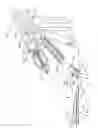 Fig. 03 - Articulation joint with improved moment arm extension for articulating an end effector of a surgical instrument
