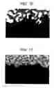 Fig. 06 - Bonding structure of substrate and component and method of manufacturing the same